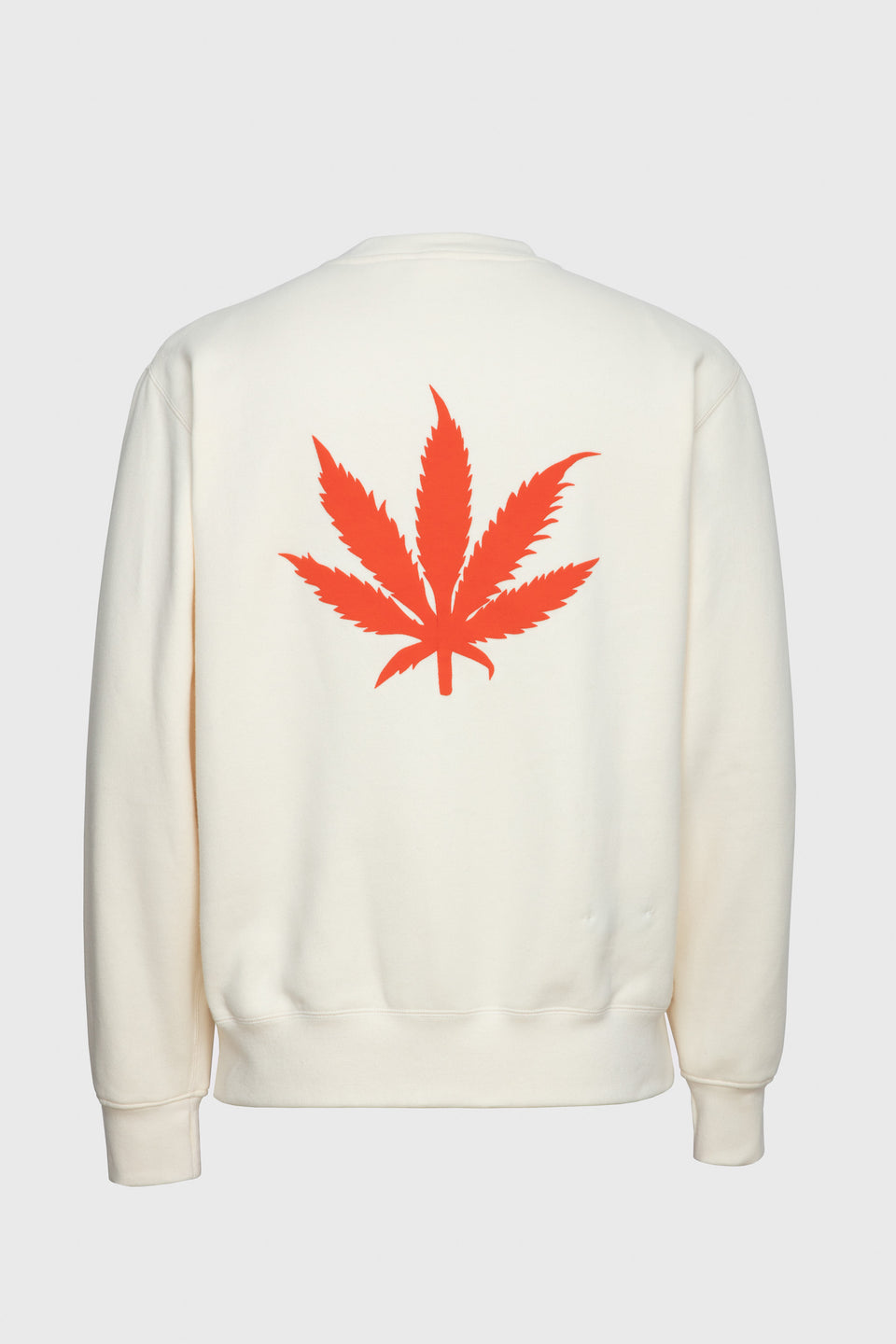 SAM CANA COTTON SWEATSHIRT