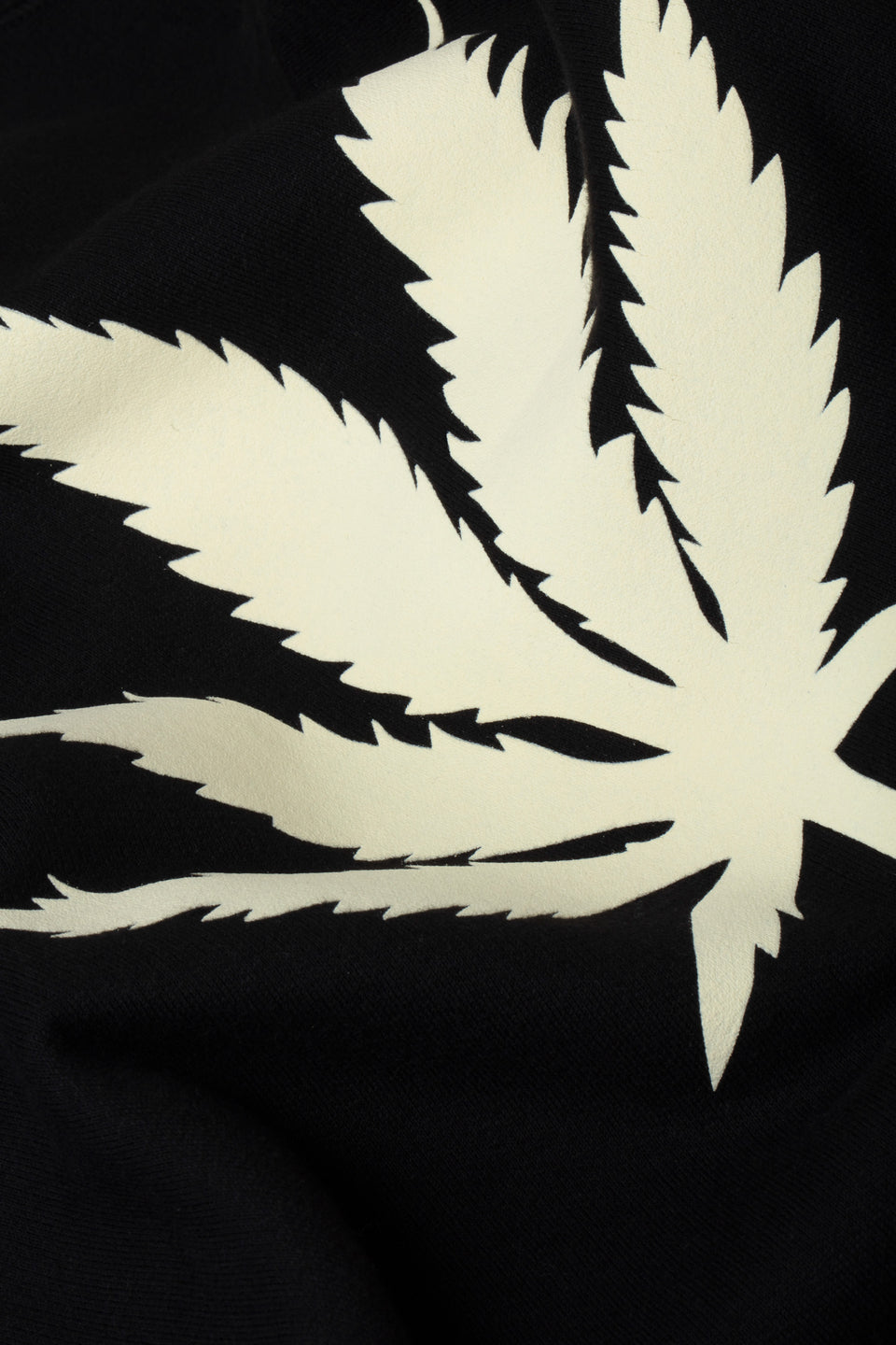 SAM CANA COTTON SWEATSHIRT