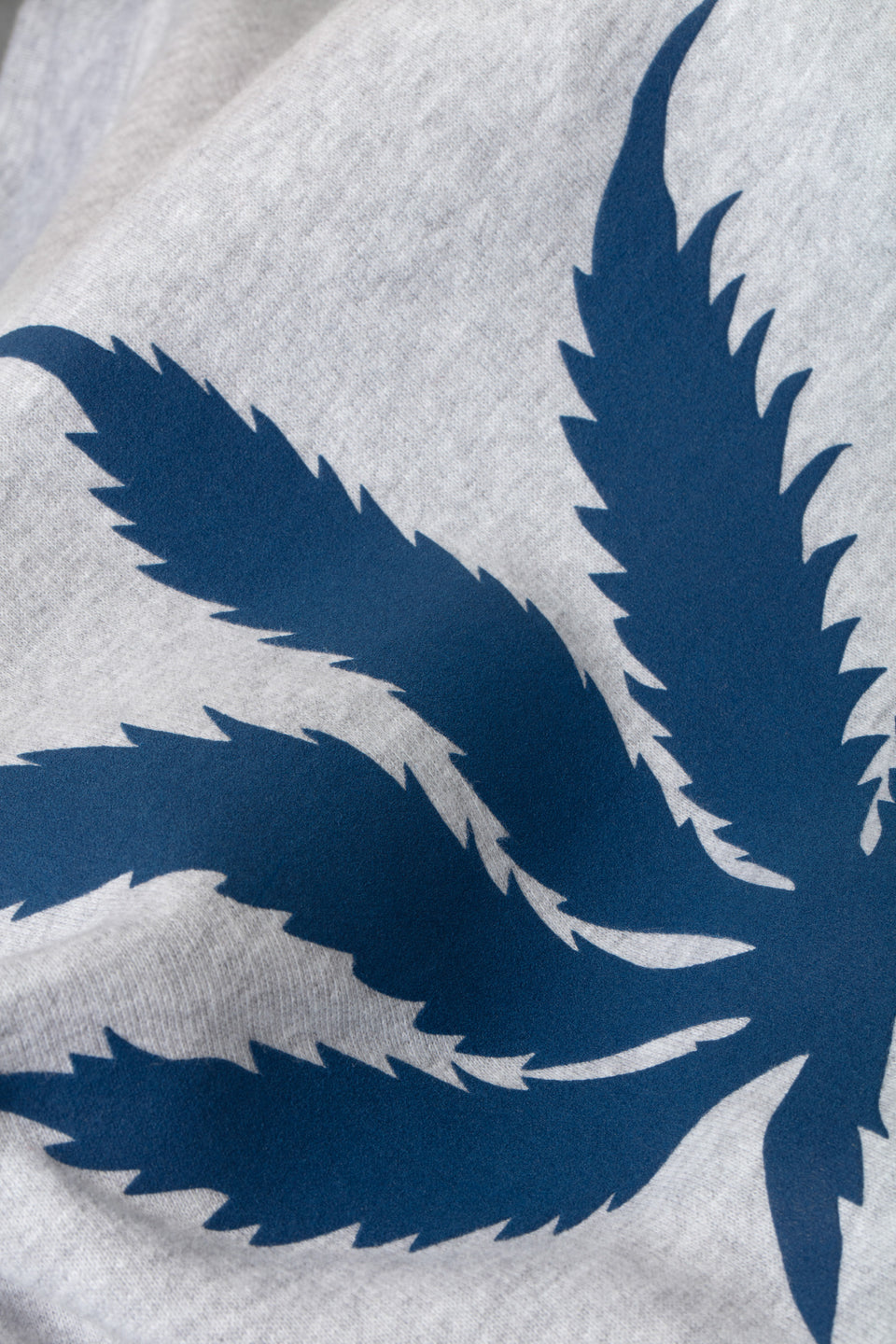 SAM CANA COTTON SWEATSHIRT