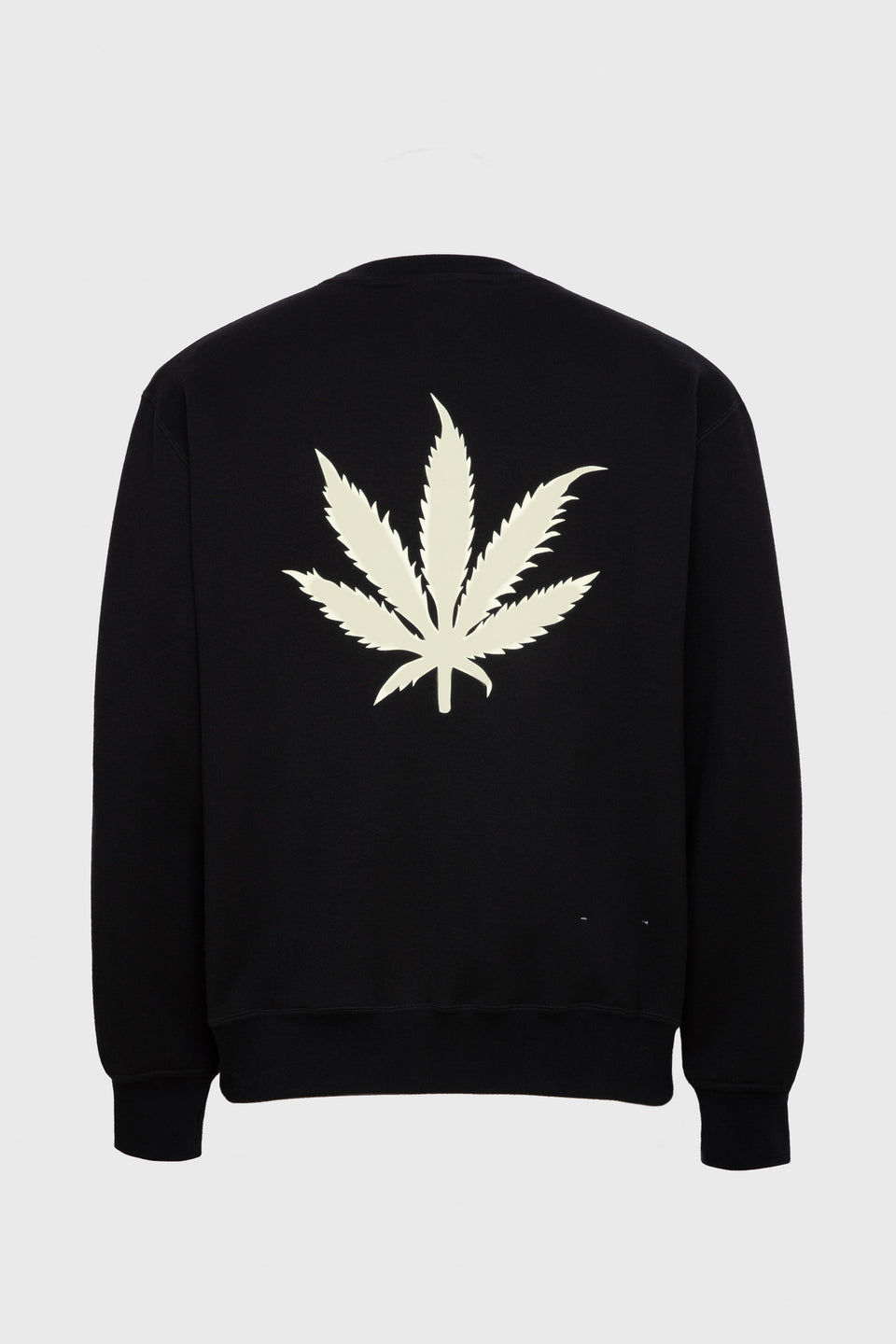 SWEATSHIRT SAM CANA EN COTON